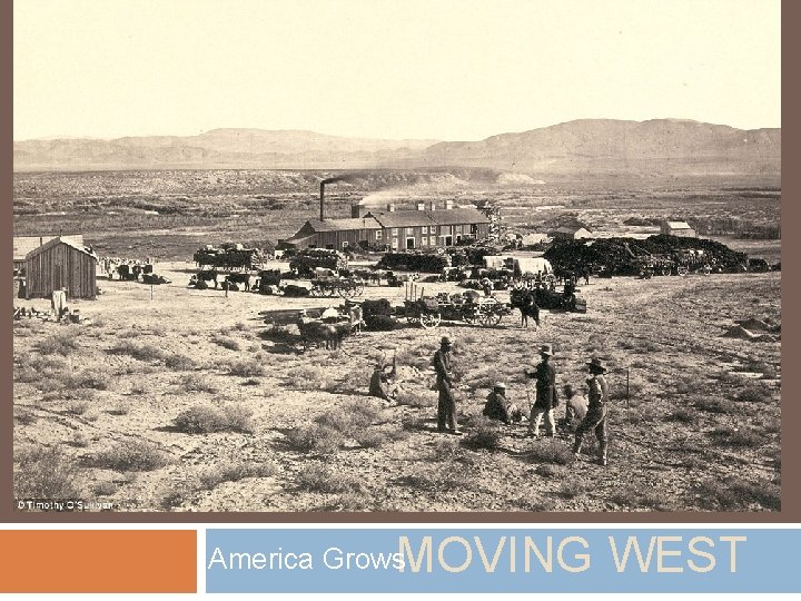 MOVING WEST America Grows MOVING WEST America Grows