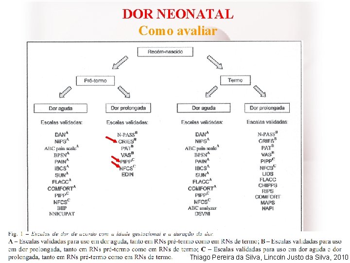 DOR NEONATAL Como avaliar Thiago Pereira da Silva, Lincoln Justo da Silva, 2010 