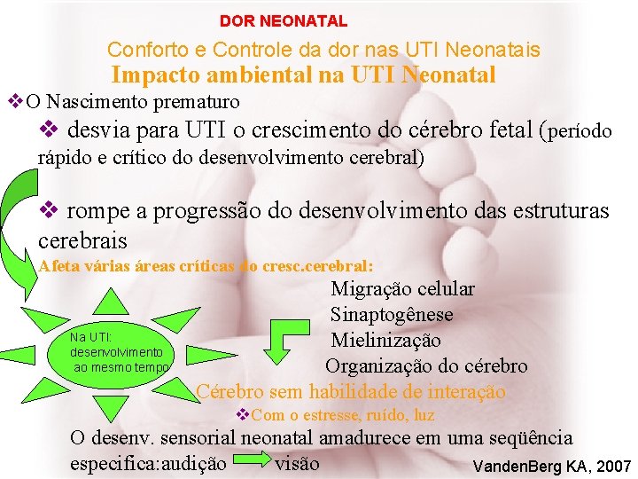 DOR NEONATAL Conforto e Controle da dor nas UTI Neonatais Impacto ambiental na UTI