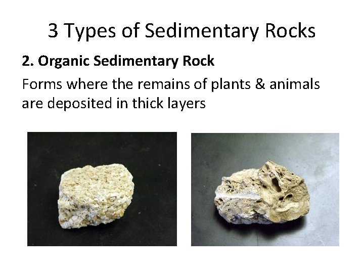 3 Types of Sedimentary Rocks 2. Organic Sedimentary Rock Forms where the remains of