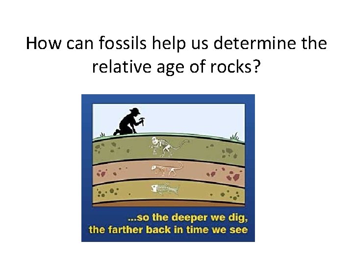 How can fossils help us determine the relative age of rocks? 