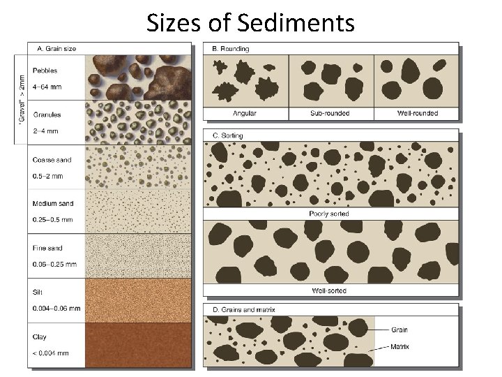 Sizes of Sediments 