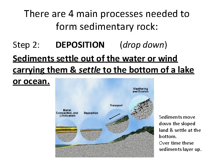 There are 4 main processes needed to form sedimentary rock: Step 2: DEPOSITION (drop