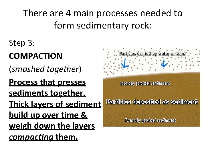 There are 4 main processes needed to form sedimentary rock: Step 3: COMPACTION (smashed
