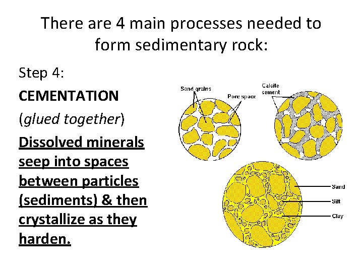 There are 4 main processes needed to form sedimentary rock: Step 4: CEMENTATION (glued