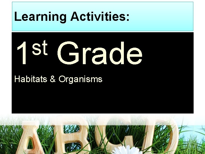 Learning Activities: st 1 Grade Habitats & Organisms 