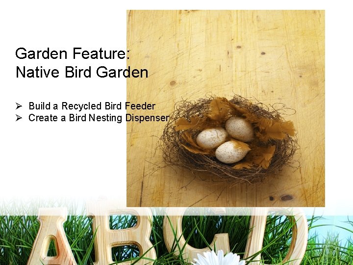 Garden Feature: Native Bird Garden Ø Build a Recycled Bird Feeder Ø Create a