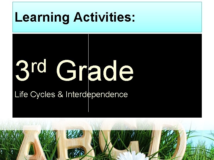 Learning Activities: rd 3 Grade Life Cycles & Interdependence 
