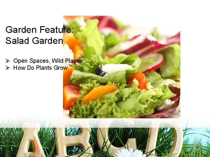 Garden Feature: Salad Garden Ø Open Spaces, Wild Places Ø How Do Plants Grow