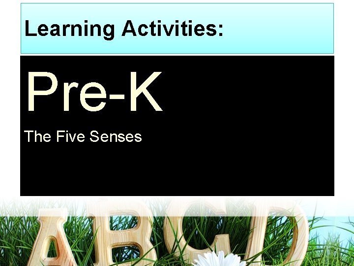 Learning Activities: Pre-K The Five Senses 
