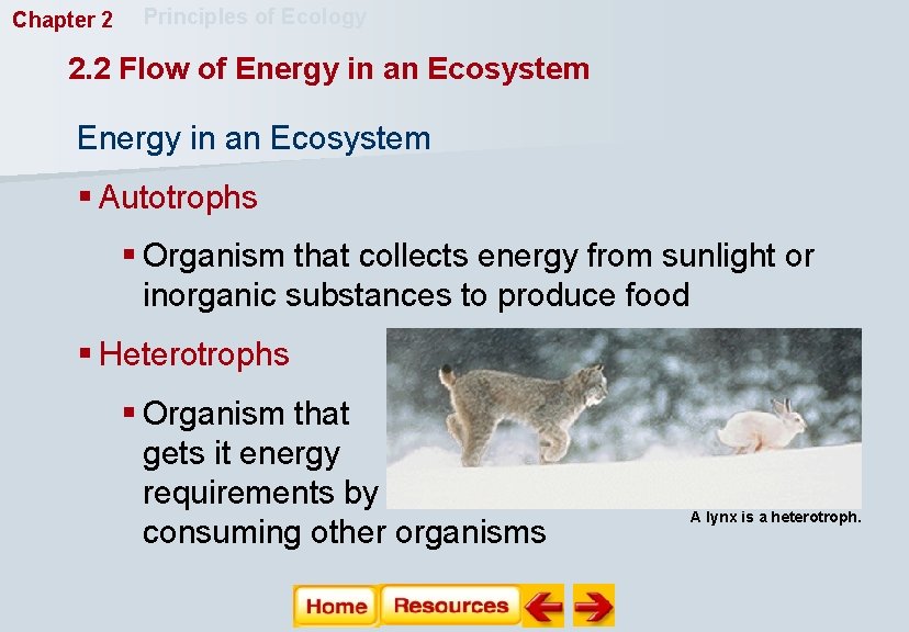 Chapter 2 Principles of Ecology 2. 2 Flow of Energy in an Ecosystem §