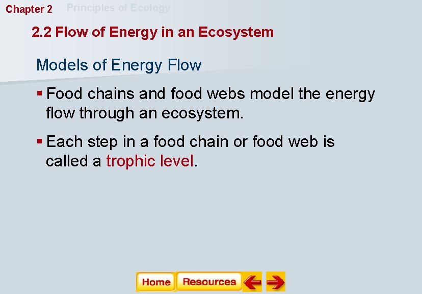 Chapter 2 Principles of Ecology 2. 2 Flow of Energy in an Ecosystem Models