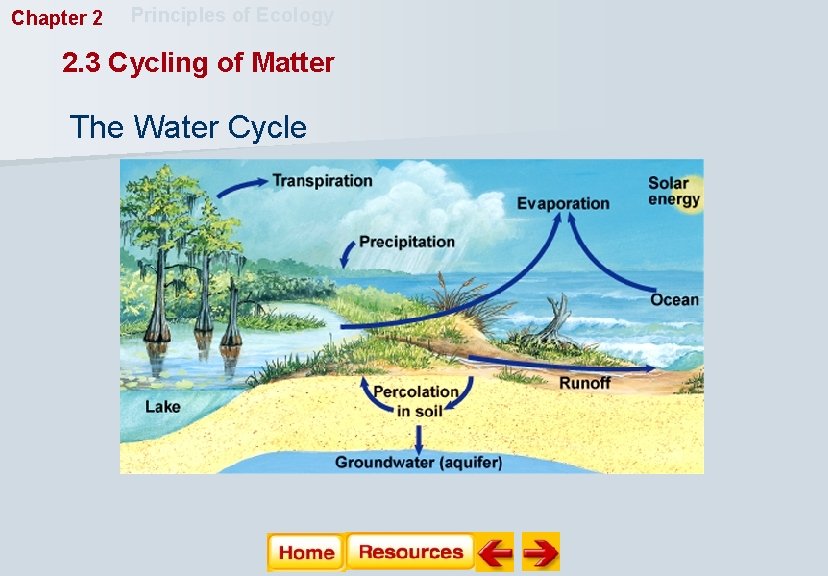 Chapter 2 Principles of Ecology 2. 3 Cycling of Matter The Water Cycle 