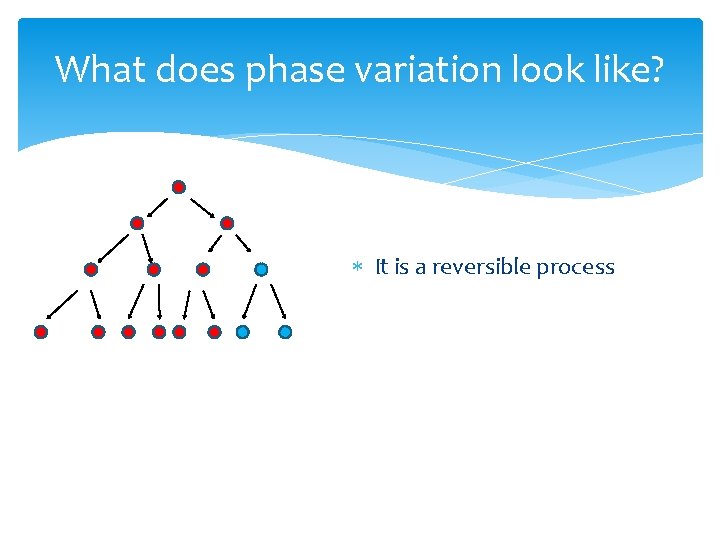 What does phase variation look like? It is a reversible process 