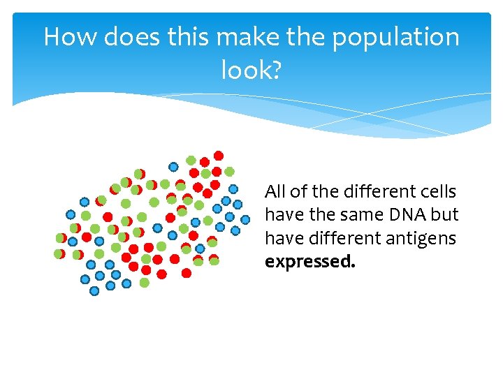 How does this make the population look? All of the different cells have the