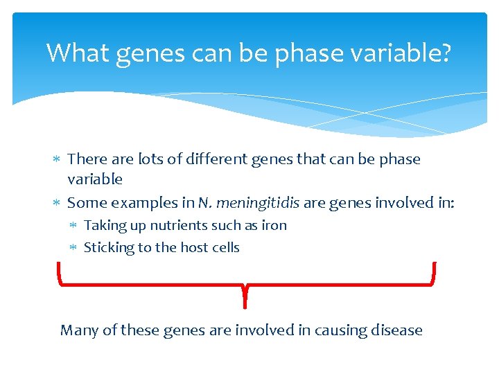 What genes can be phase variable? There are lots of different genes that can