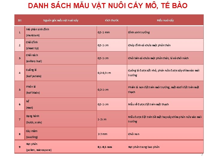 DANH SÁCH MẪU VẬT NUÔI CẤY MÔ, TẾ BÀO Stt 1 2 3 4