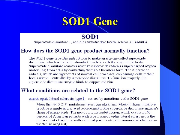 SOD 1 Gene 