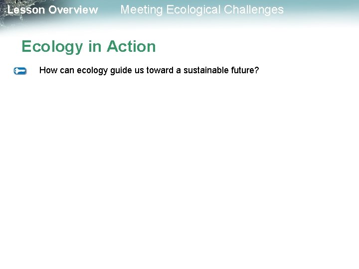 Lesson Overview Meeting Ecological Challenges Ecology in Action How can ecology guide us toward