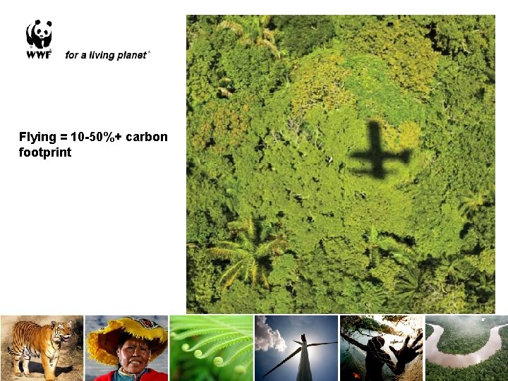 Flying = 10 -50%+ carbon footprint 