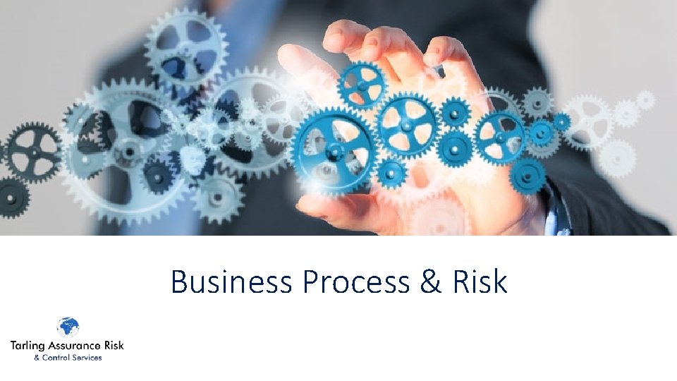 Business Process & Risk 