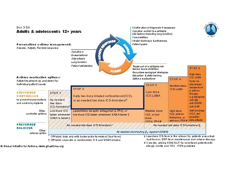 Box 3 -5 A Confirmation of diagnosis if necessary Symptom control & modifiable risk