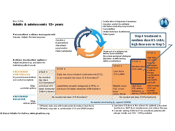 Box 3 -5 A Confirmation of diagnosis if necessary Symptom control & modifiable risk