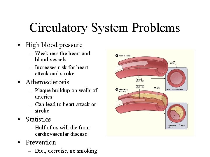 Circulatory System Problems • High blood pressure – Weakness the heart and blood vessels