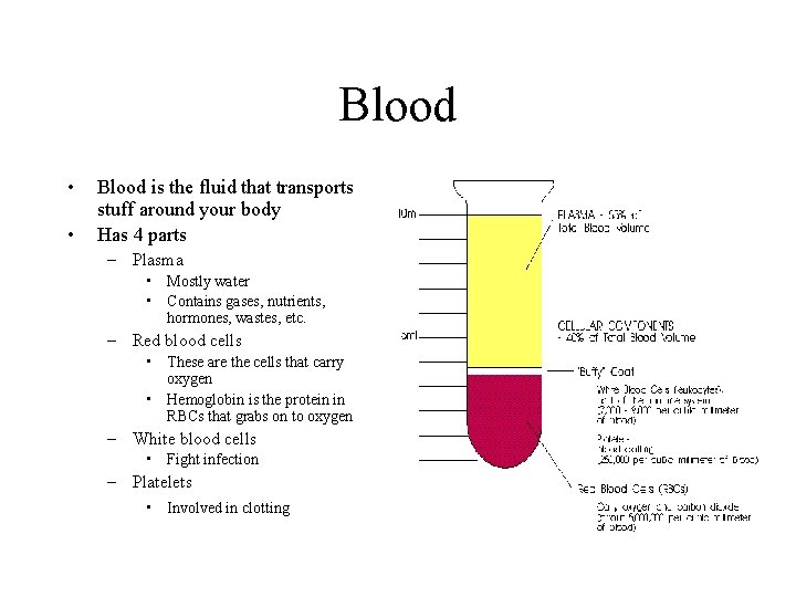 Blood • • Blood is the fluid that transports stuff around your body Has