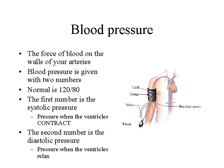 Blood pressure • The force of blood on the walls of your arteries •