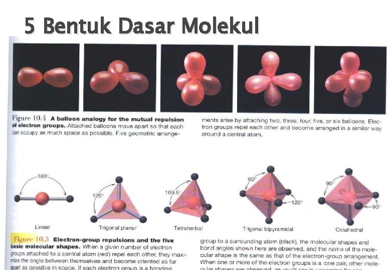 5 Bentuk Dasar Molekul 