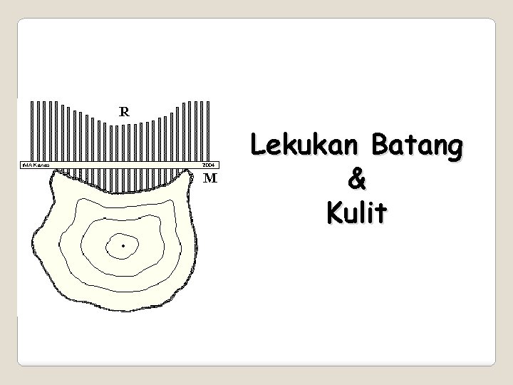 Lekukan Batang & Kulit 