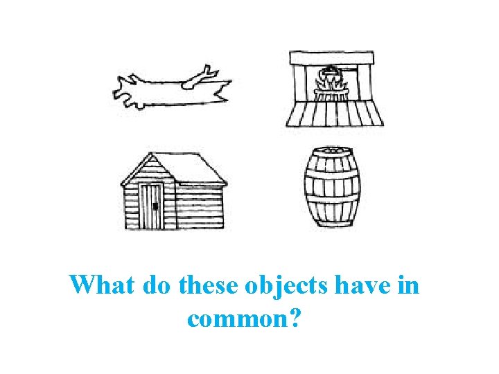 What do these objects have in common? 