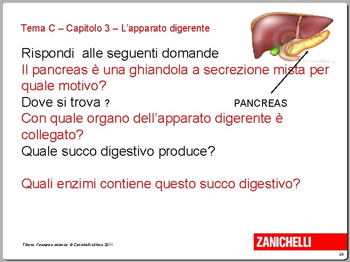 Tema C – Capitolo 3 – L’apparato digerente Rispondi alle seguenti domande Il pancreas