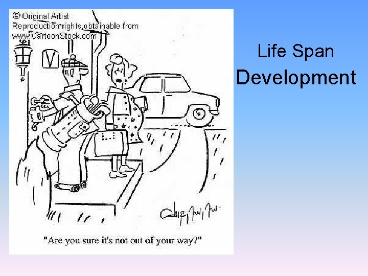 Life Span Development 