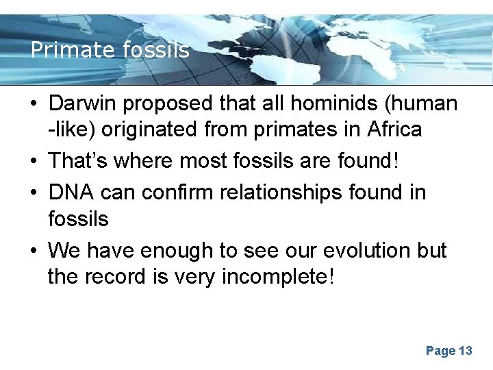 Primate fossils • Darwin proposed that all hominids (human -like) originated from primates in