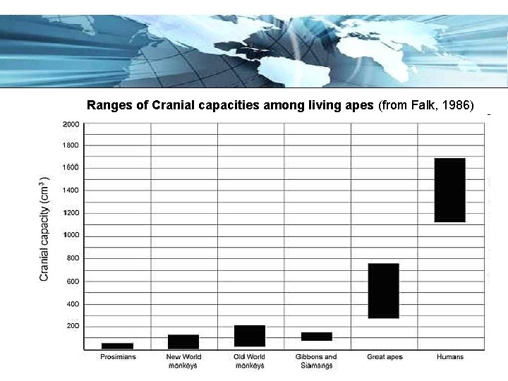 Ranges of Cranial capacities among living apes (from Falk, 1986) Page 15 