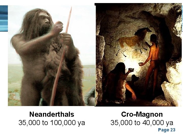 Neanderthals 35, 000 to 100, 000 ya Cro-Magnon 35, 000 to 40, 000 ya