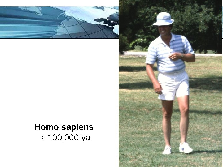 Homo sapiens < 100, 000 ya Page 24 