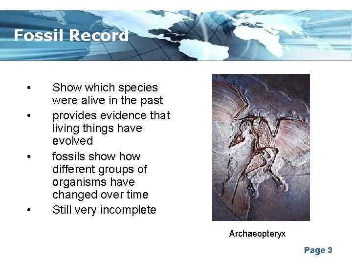 Fossil Record • • Show which species were alive in the past provides evidence