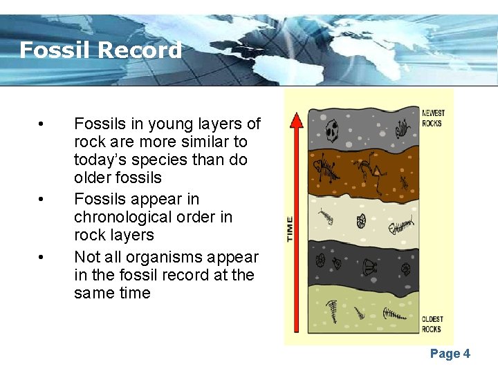 Fossil Record • • • Fossils in young layers of rock are more similar
