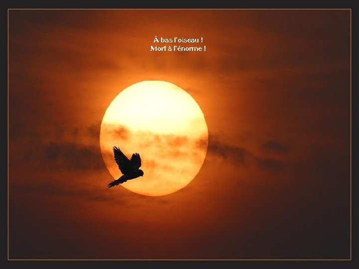 À bas l'oiseau ! Mort à l'énorme ! 