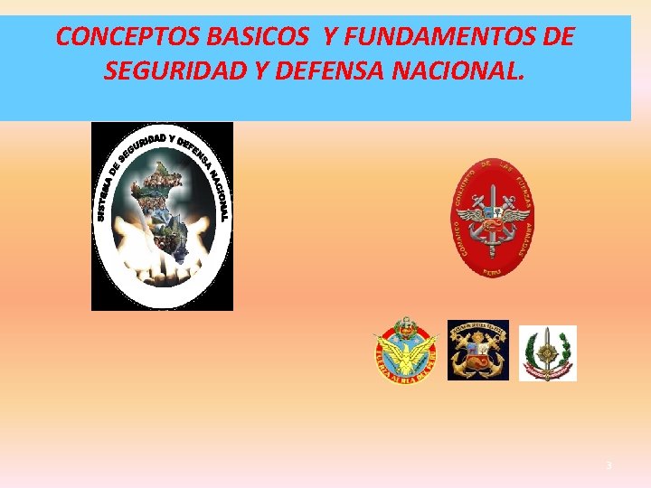 CONCEPTOS BASICOS Y FUNDAMENTOS DE SEGURIDAD Y DEFENSA NACIONAL. 3 
