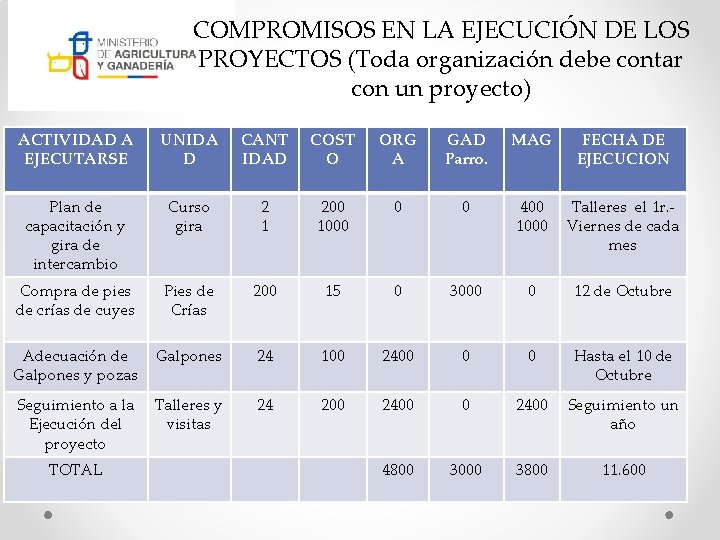 COMPROMISOS EN LA EJECUCIÓN DE LOS PROYECTOS (Toda organización debe contar con un proyecto)