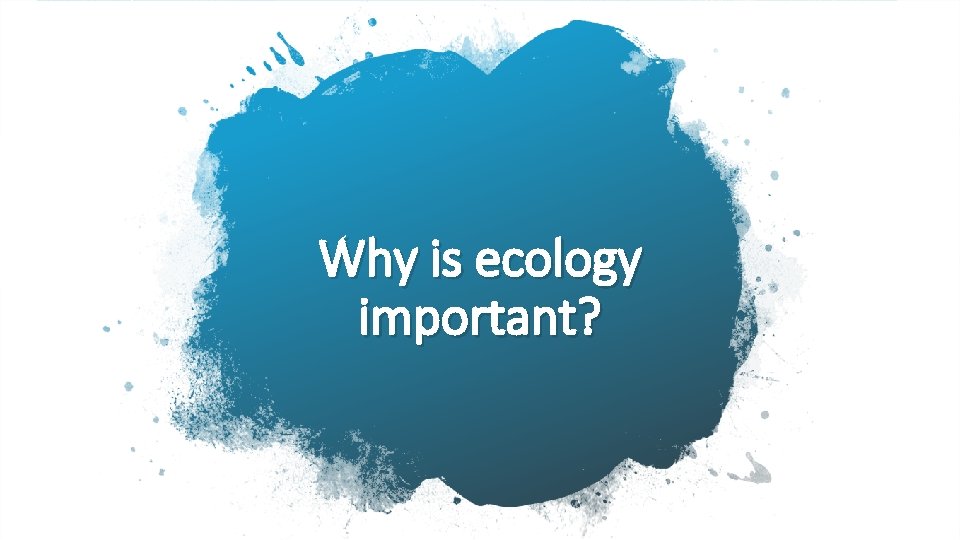 Why is ecology important? 