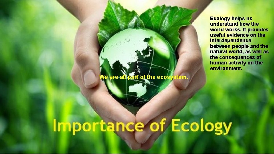 Ecology helps us understand how the world works. It provides useful evidence on the