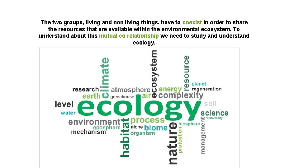 The two groups, living and non living things, have to coexist in order to