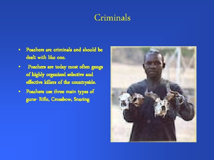 Criminals • Poachers are criminals and should be dealt with like one. • Poachers