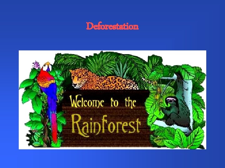 Deforestation 