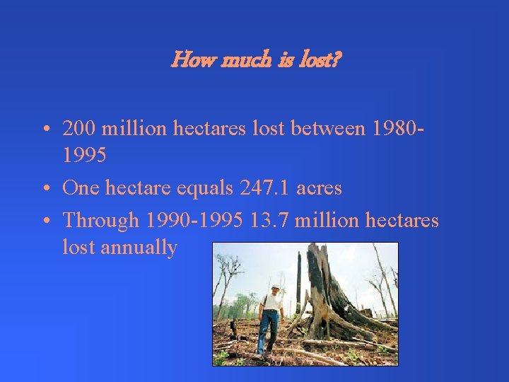 How much is lost? • 200 million hectares lost between 19801995 • One hectare
